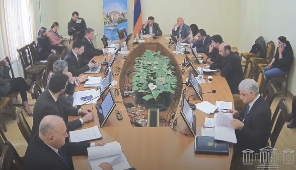 Внеочередное заседание Комиссии НС по экономическим вопросам (видео)